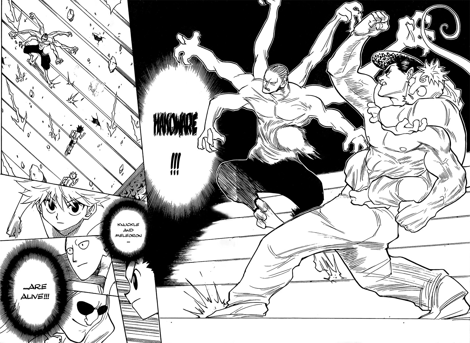 Hunter x Hunter Manga Chapter 266 page 15 - In the Unlikely Event Of...