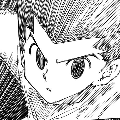 Hunter x Hunter Manga Chapter 266 (In the Unlikely Event Of...) cover