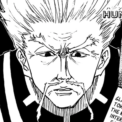 Hunter x Hunter Manga Chapter 268 (The King) cover