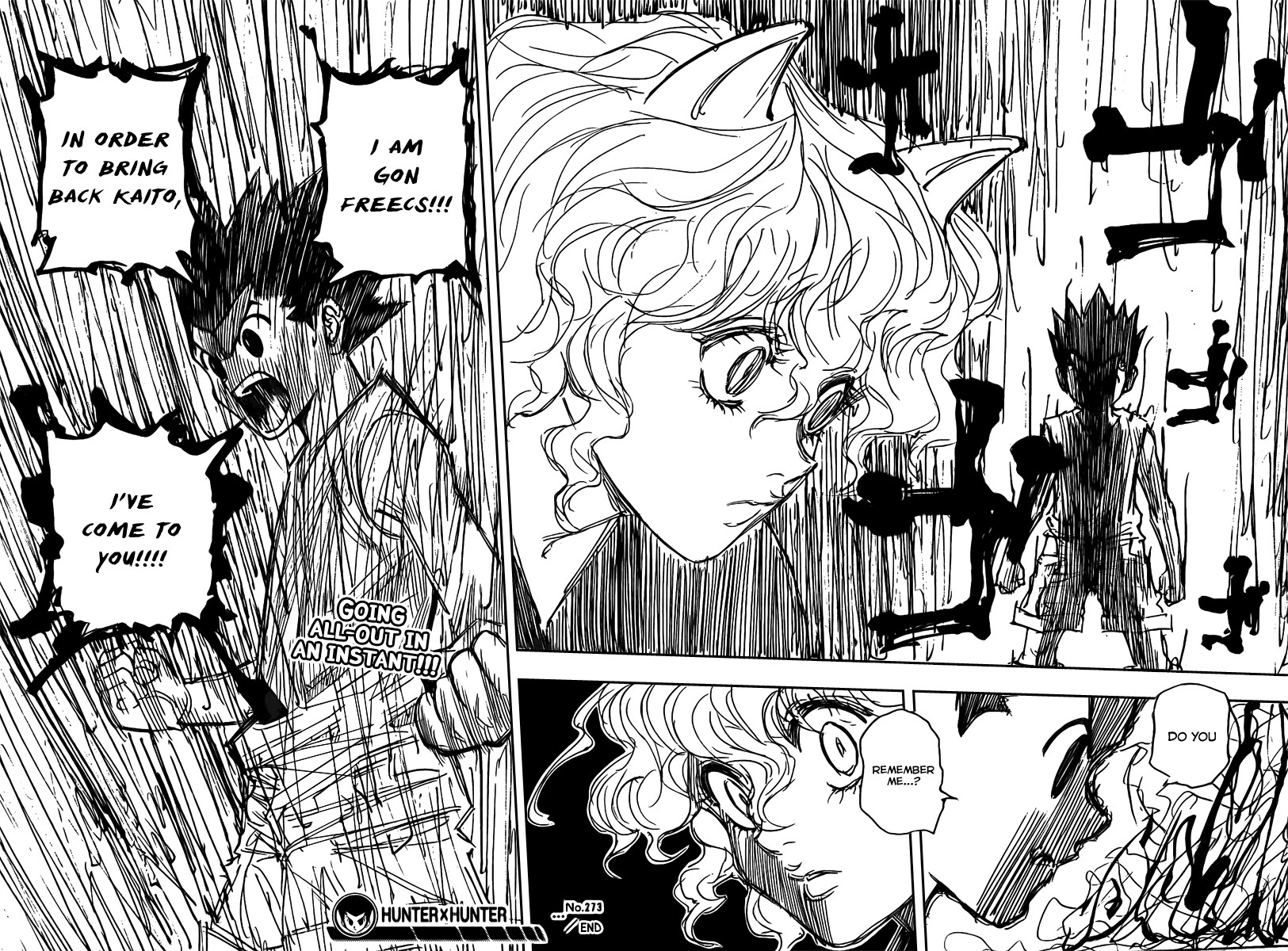 Hunter x Hunter Manga Chapter 273 page 18 - We Meet Again