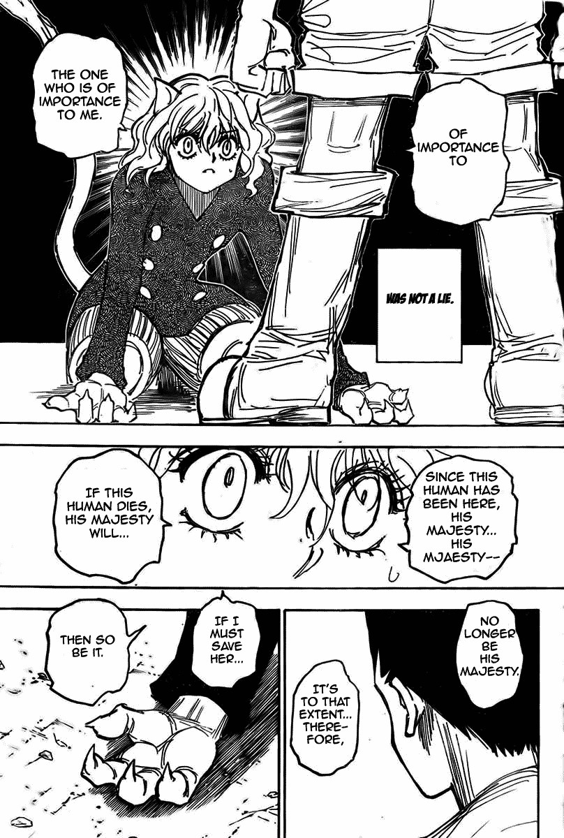 Hunter x Hunter Manga Chapter 274 page 16 - Solution