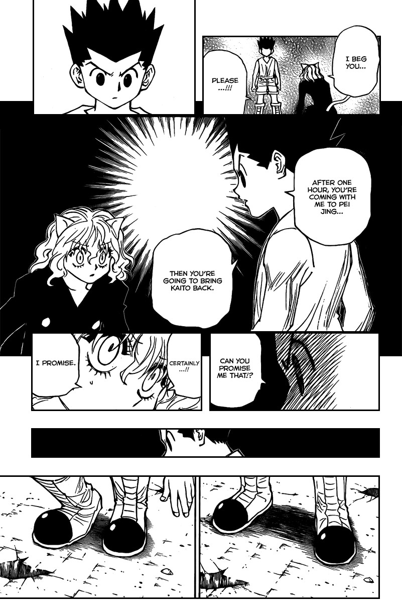 Hunter x Hunter Manga Chapter 275 page 15 - Promise
