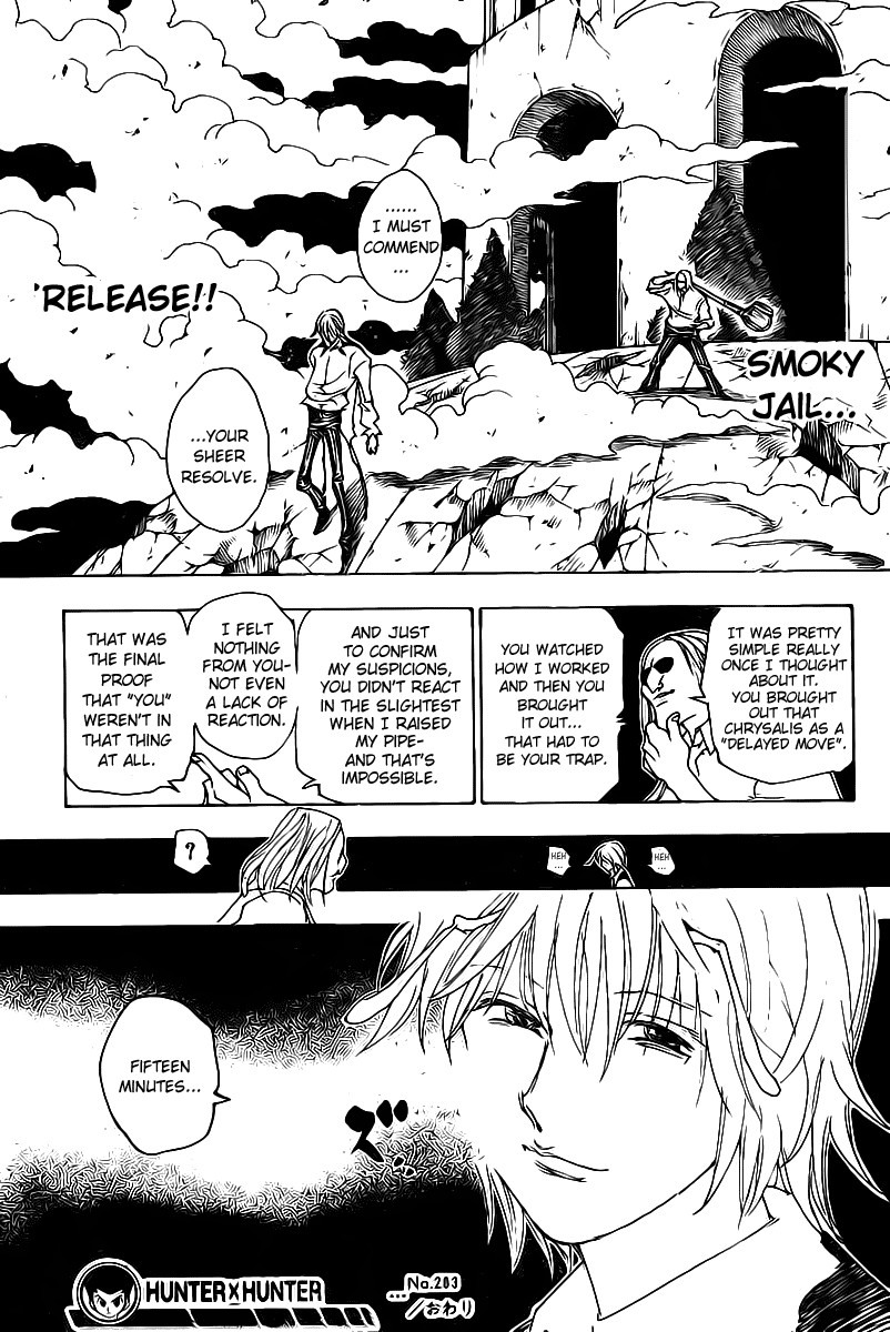 Hunter x Hunter Manga Chapter 283 page 19 - Determination
