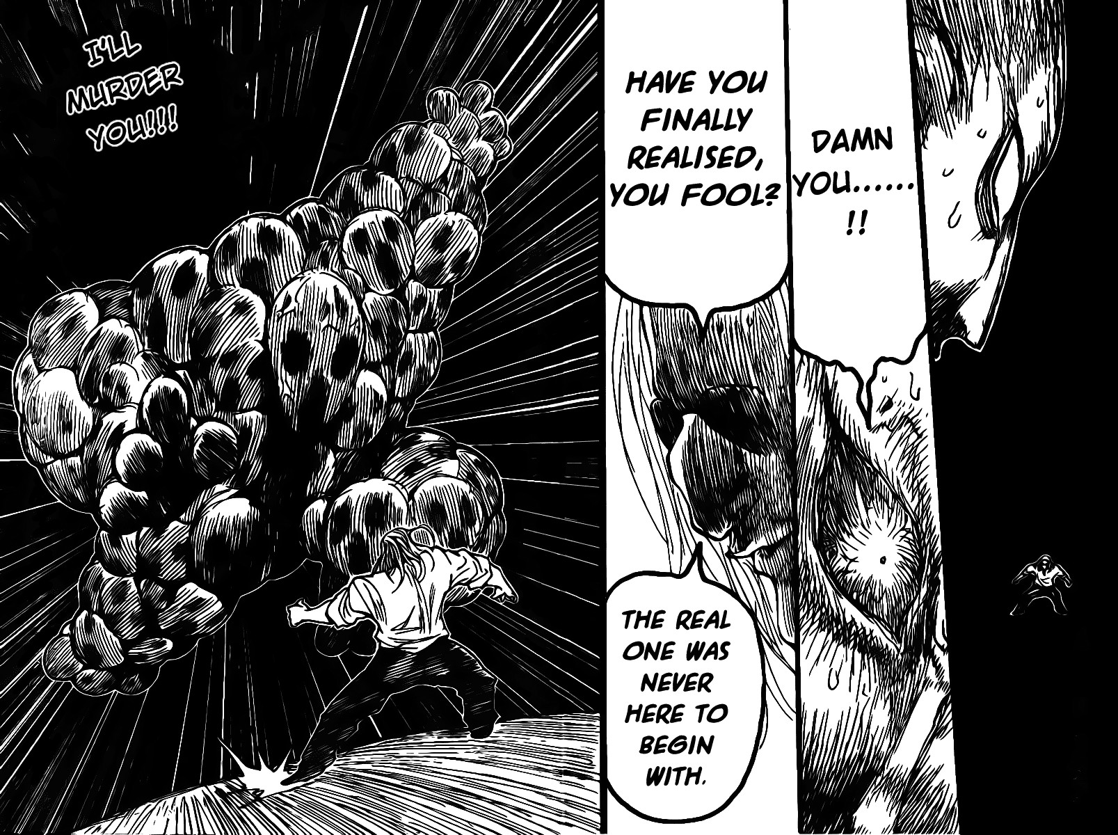 Hunter x Hunter Manga Chapter 285 page 13 - Doubles