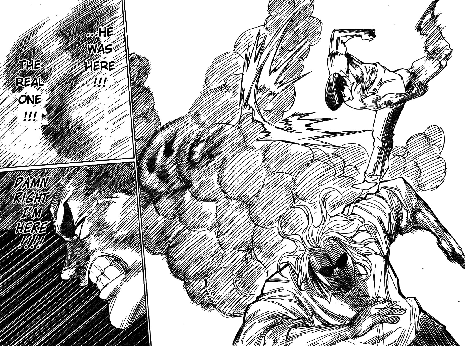 Hunter x Hunter Manga Chapter 285 page 14 - Doubles