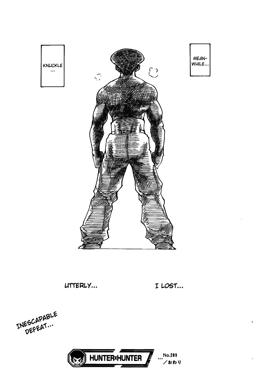 Hunter x Hunter Manga Chapter 289 page 18 - Terms