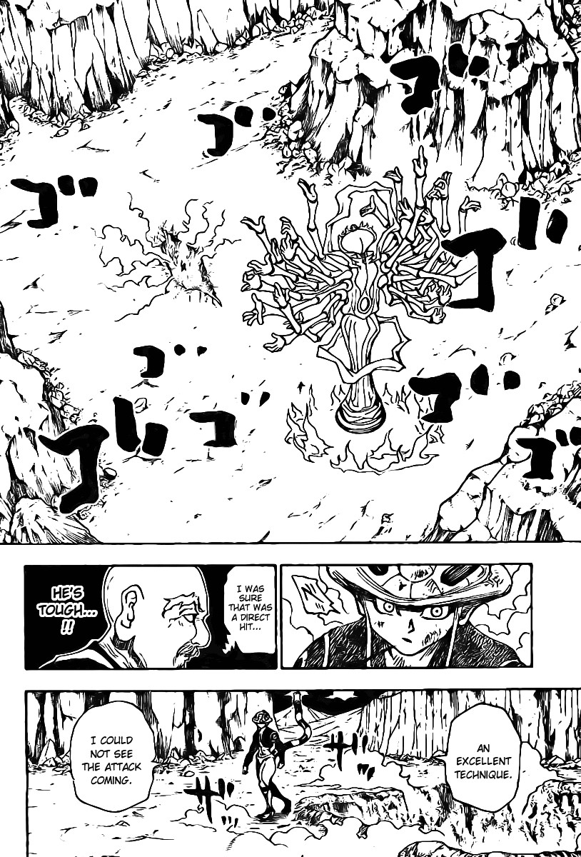 Hunter x Hunter Manga Chapter 290 page 10 - Name