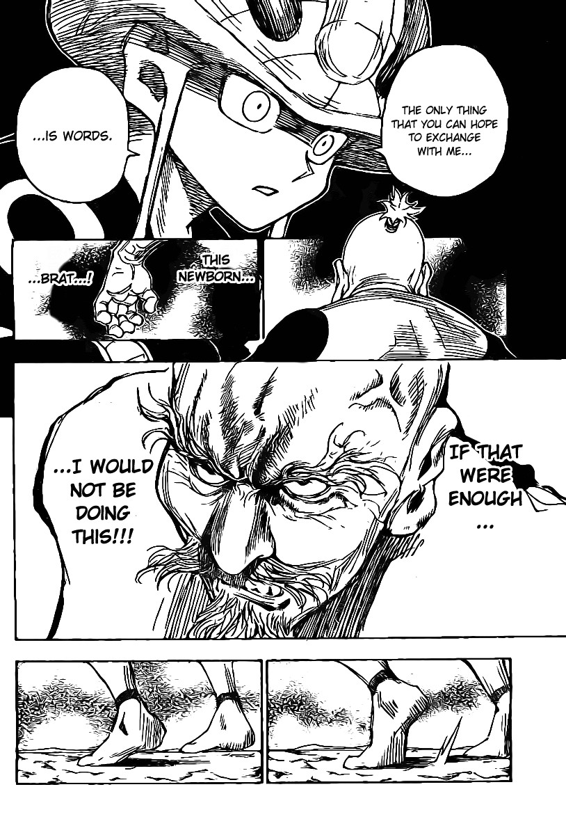 Hunter x Hunter Manga Chapter 290 page 15 - Name