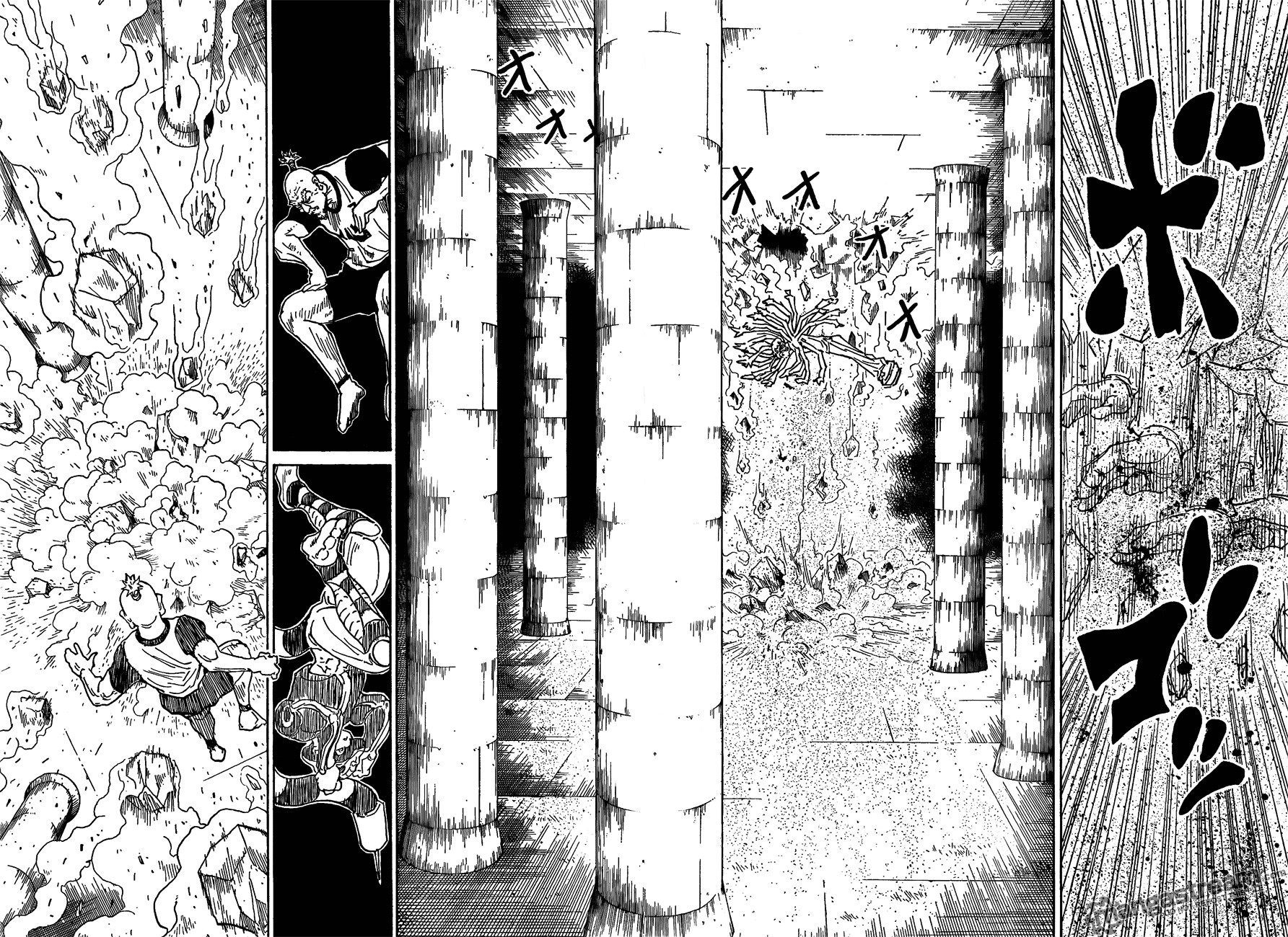 Hunter x Hunter Manga Chapter 291 page 13 - Soliloquy