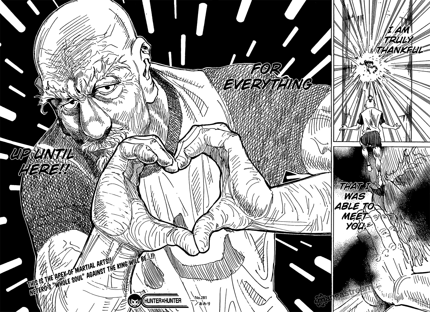 Hunter x Hunter Manga Chapter 291 page 16 - Soliloquy