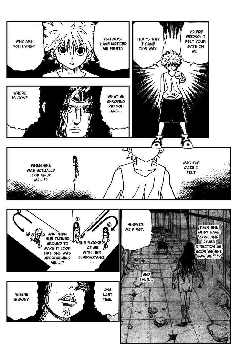 Hunter x Hunter Manga Chapter 293 page 12 - Metamorphosis