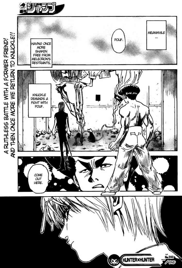 Hunter x Hunter Manga Chapter 293 page 19 - Metamorphosis