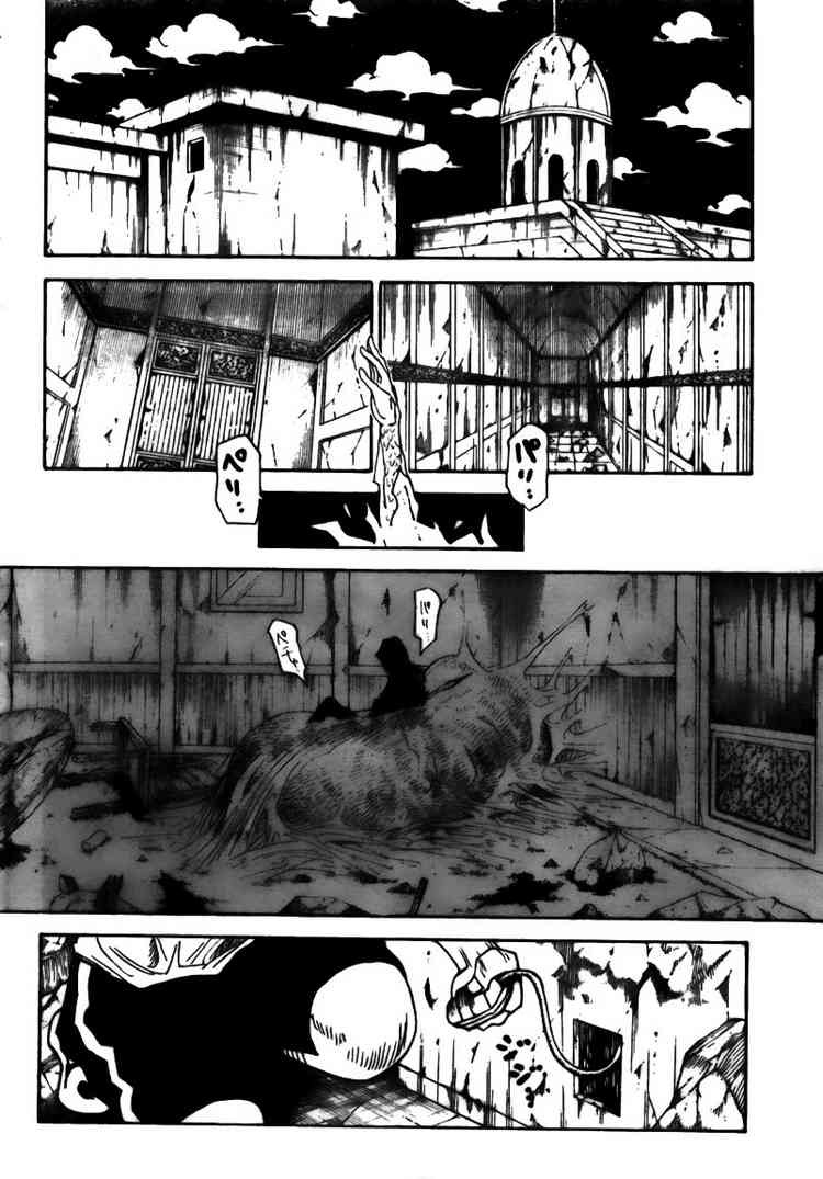 Hunter x Hunter Manga Chapter 293 page 2 - Metamorphosis