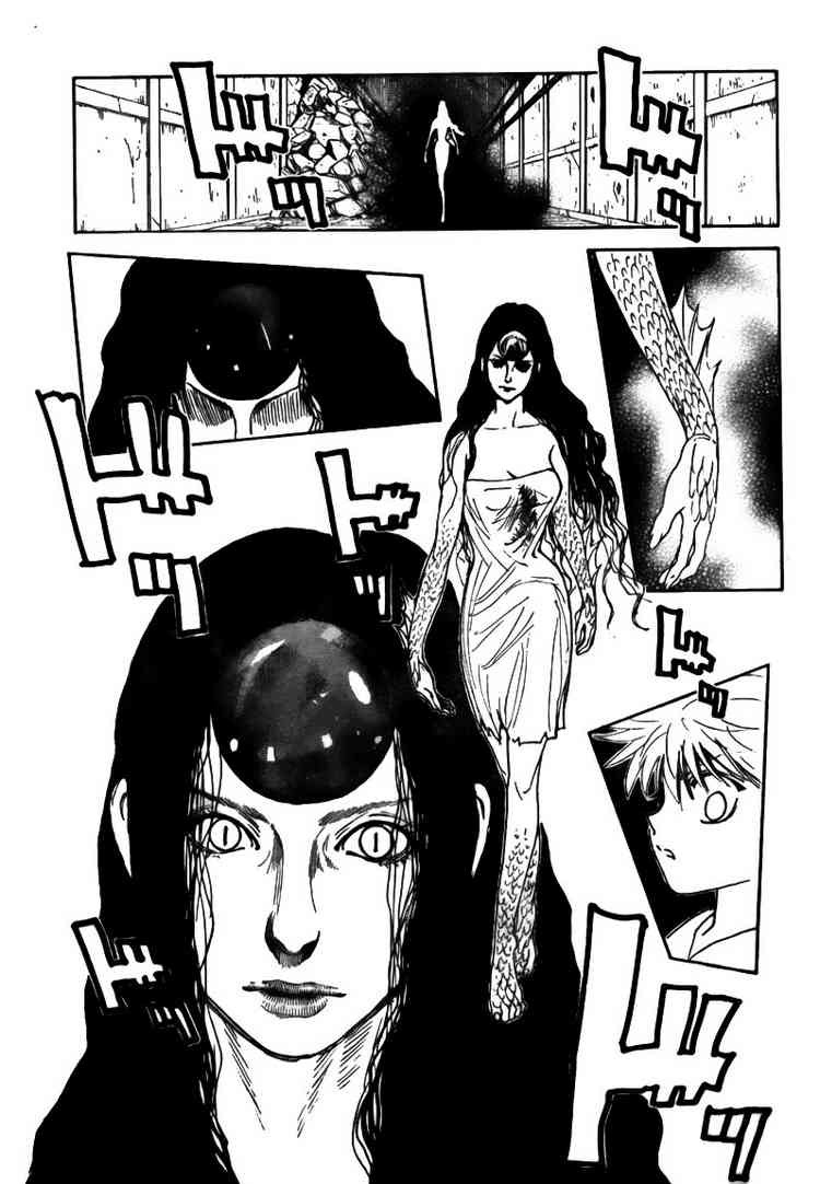 Hunter x Hunter Manga Chapter 293 page 5 - Metamorphosis