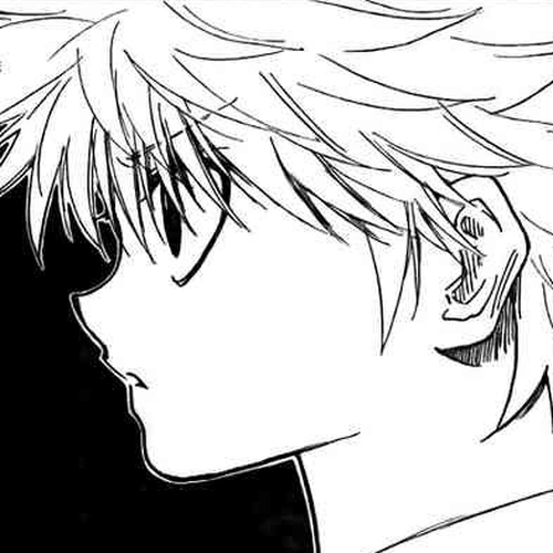 Hunter x Hunter Manga Chapter 293 (Metamorphosis) cover