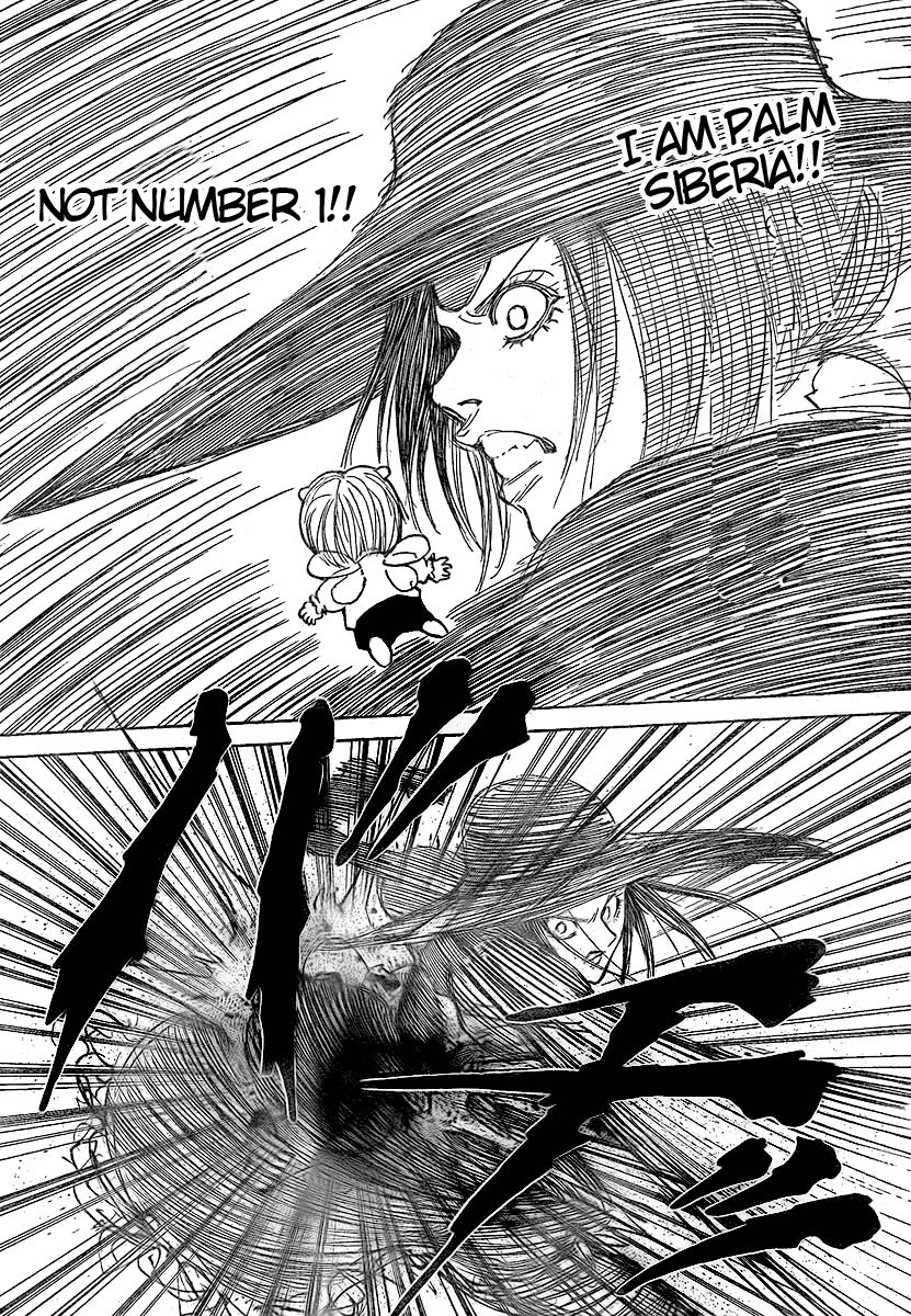 Hunter x Hunter Manga Chapter 294 page 15 - Breakdown