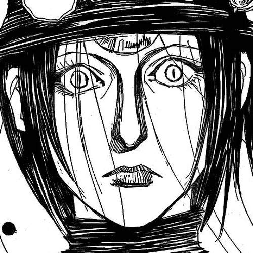 Hunter x Hunter Manga Chapter 294 (Breakdown) cover