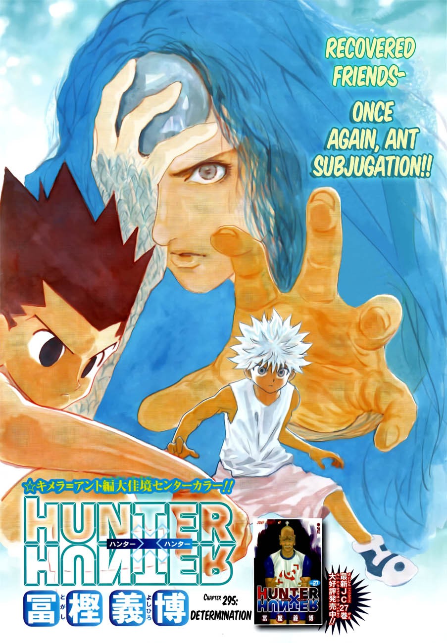 Hunter x Hunter Manga Chapter 295 page 1 - Determination