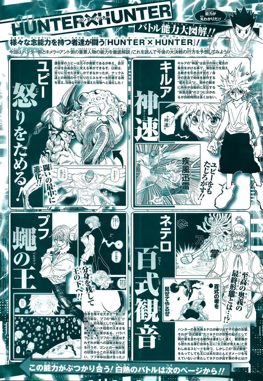 Hunter x Hunter Manga Chapter 295 page 2 - Determination