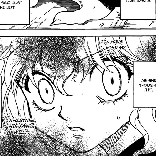 Hunter x Hunter Manga Chapter 295 (Determination) cover