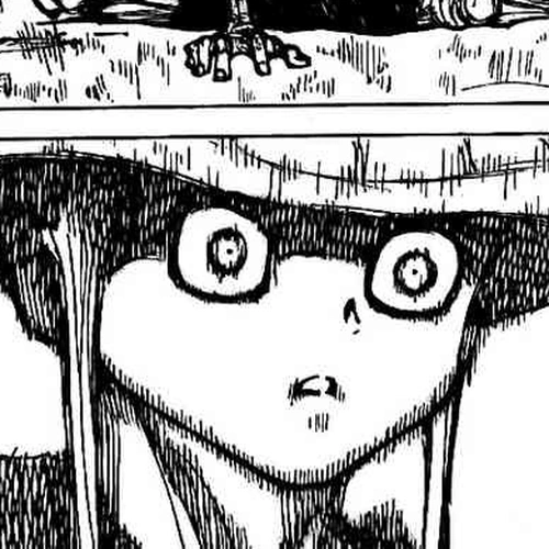 Hunter x Hunter Manga Chapter 298 (Rose) cover