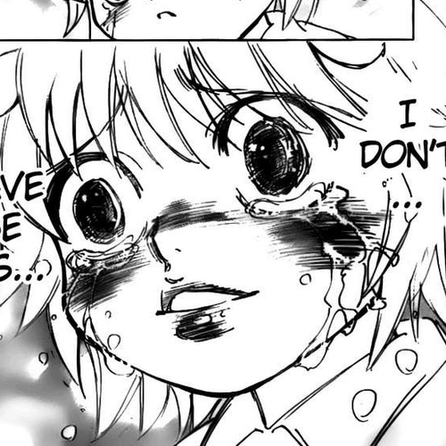 Hunter x Hunter Manga Chapter 299 (Regeneration) cover