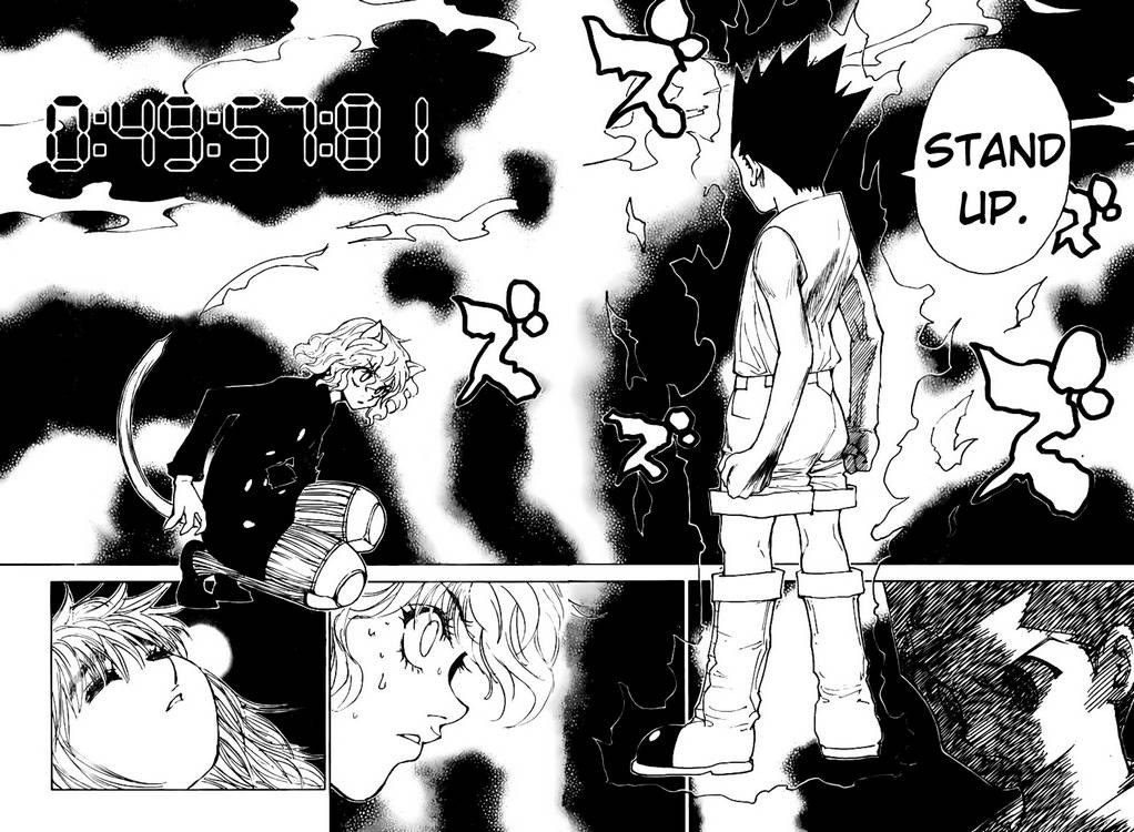 Hunter x Hunter Manga Chapter 300 page 10 - Insurance