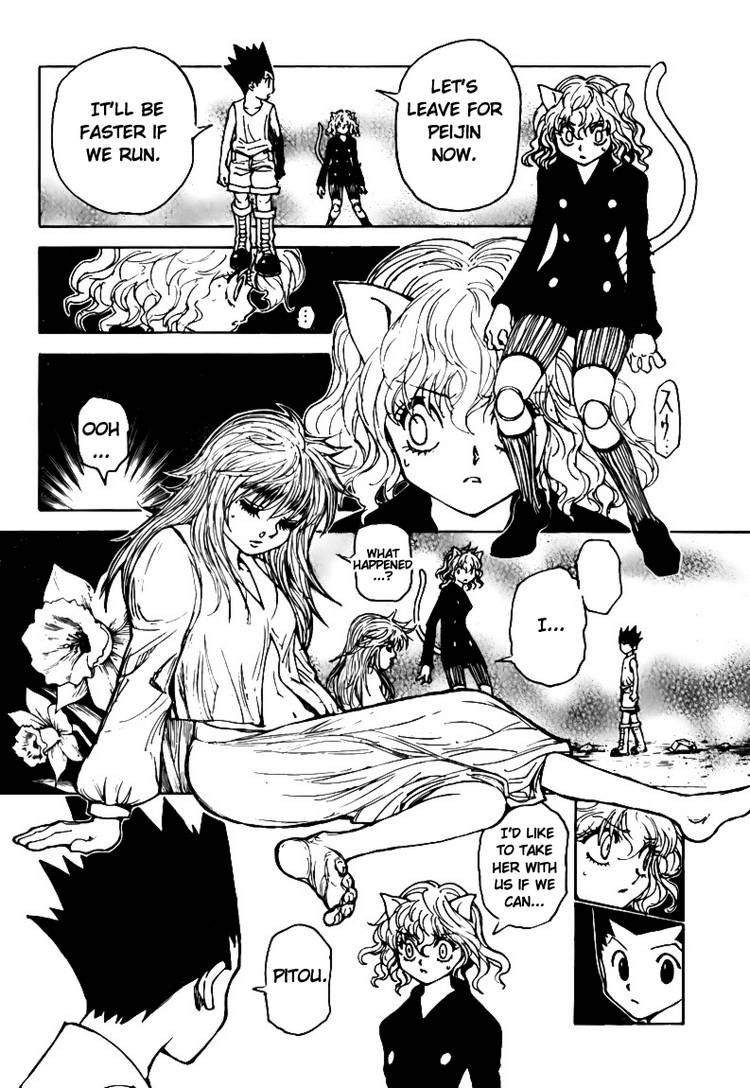 Hunter x Hunter Manga Chapter 300 page 11 - Insurance