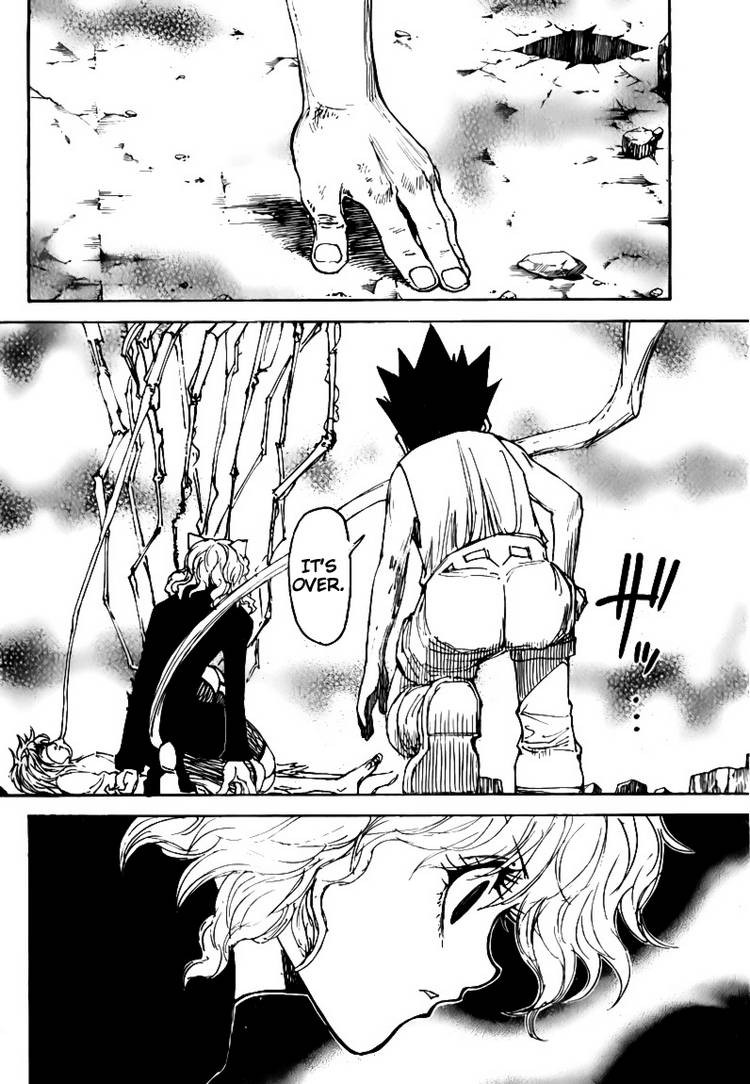 Hunter x Hunter Manga Chapter 300 page 8 - Insurance