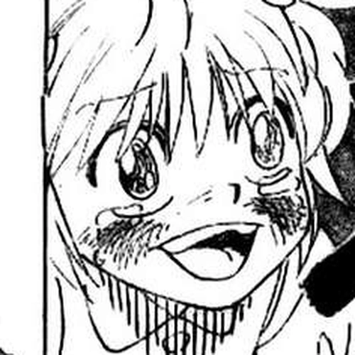 Hunter x Hunter Manga Chapter 301 (Memory) cover