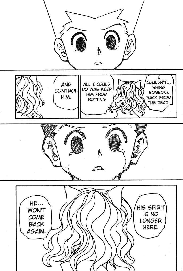 Hunter x Hunter Manga Chapter 304 page 15 - Magic