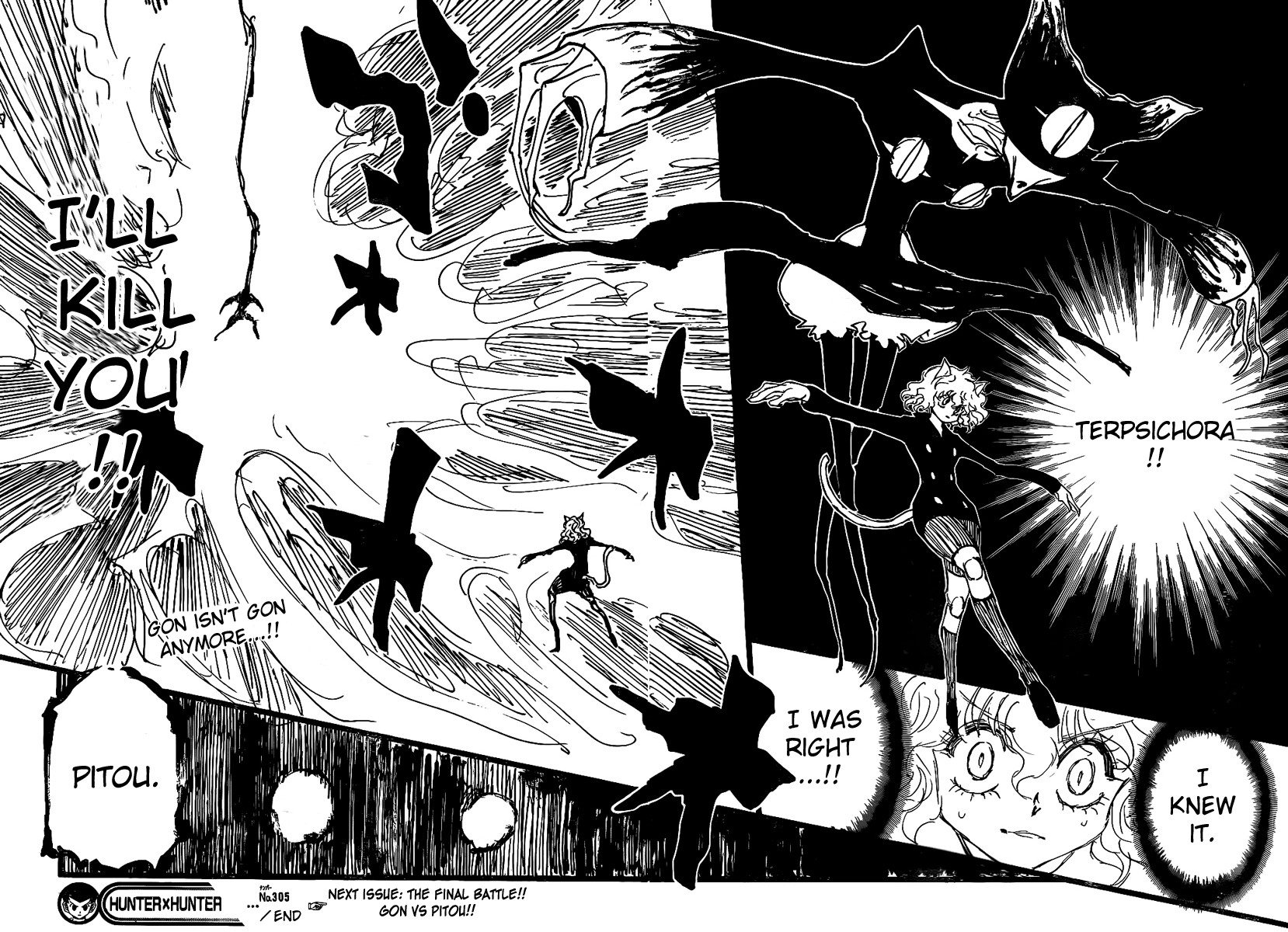 Hunter x Hunter Manga Chapter 305 page 15 - Sorry