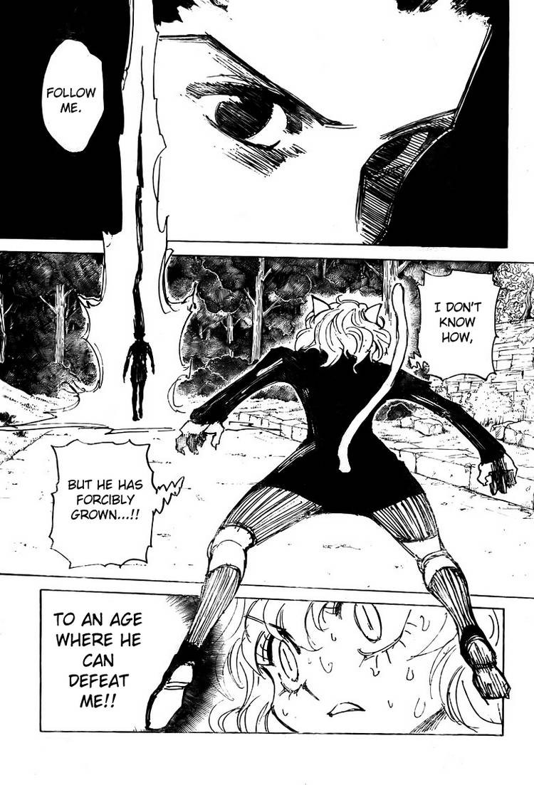 Hunter x Hunter Manga Chapter 306 page 6 - Relief