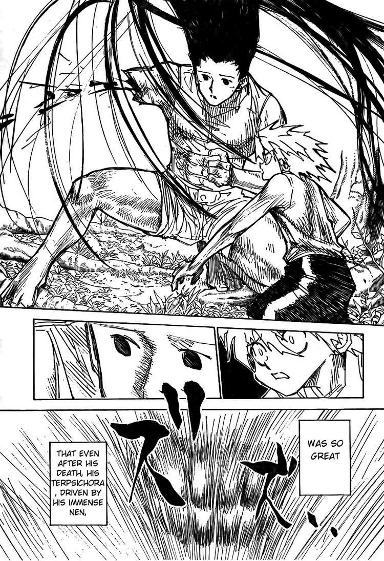 Hunter x Hunter Manga Chapter 307 page 10 - Loss