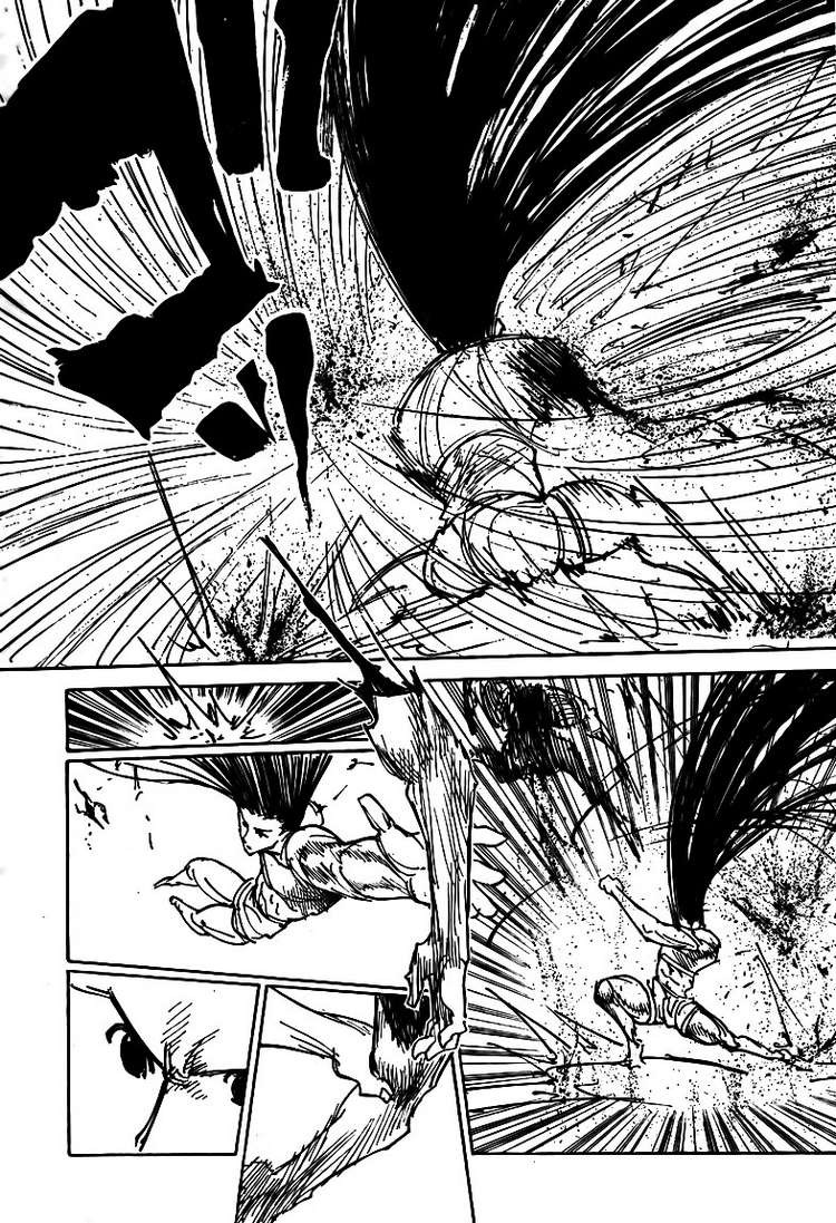 Hunter x Hunter Manga Chapter 307 page 14 - Loss
