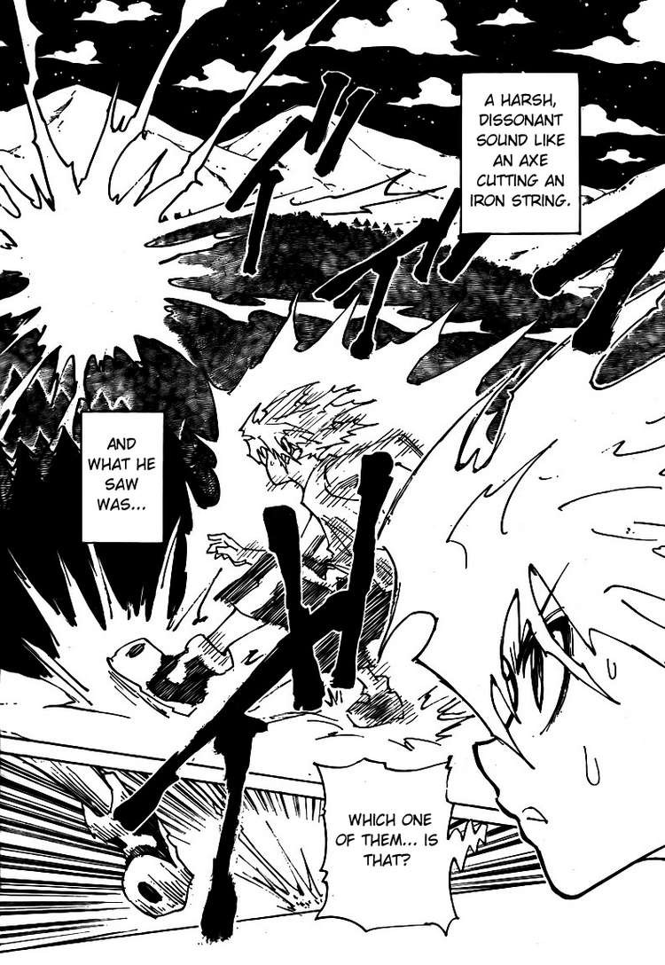 Hunter x Hunter Manga Chapter 307 page 2 - Loss