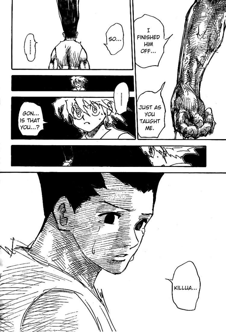Hunter x Hunter Manga Chapter 307 page 5 - Loss