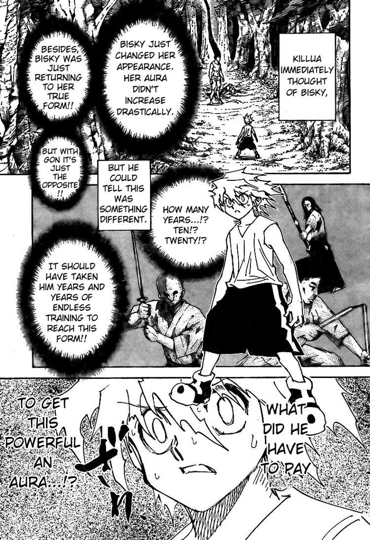 Hunter x Hunter Manga Chapter 307 page 6 - Loss