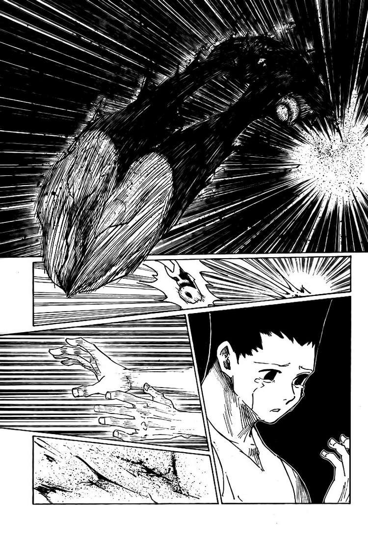 Hunter x Hunter Manga Chapter 307 page 8 - Loss