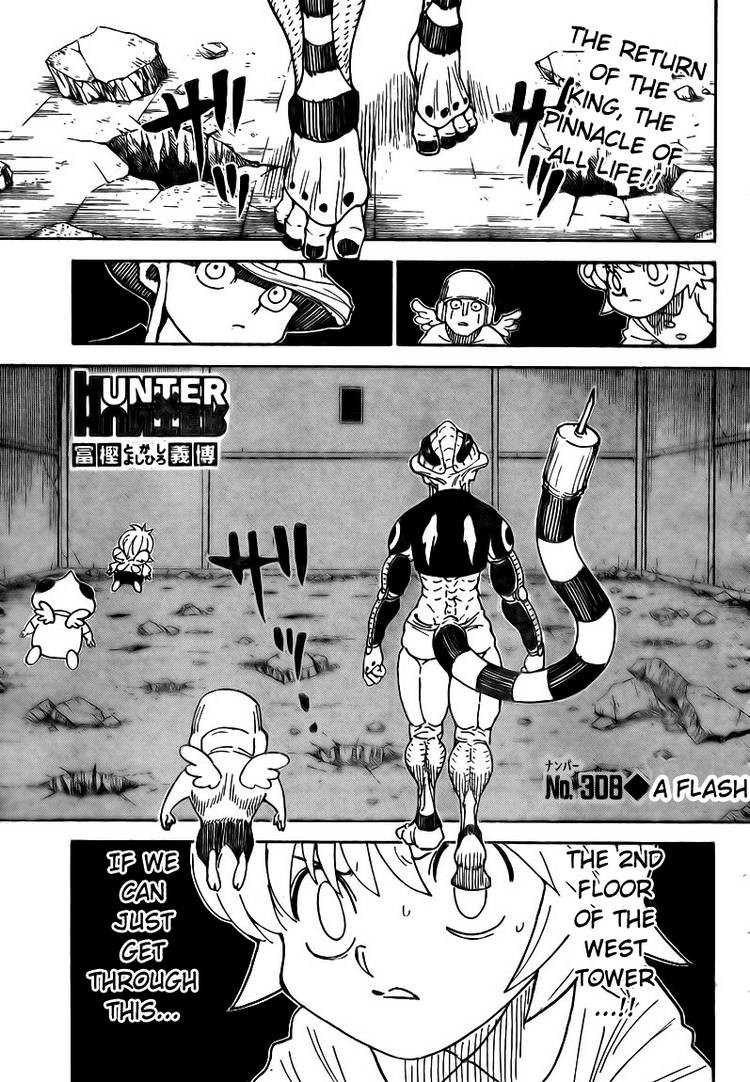 Hunter x Hunter Manga Chapter 308 page 1 - Flash