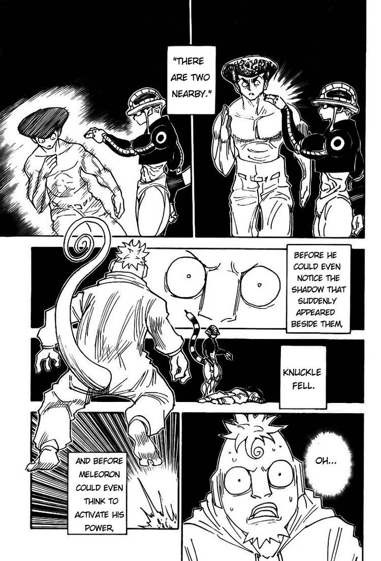 Hunter x Hunter Manga Chapter 308 page 15 - Flash