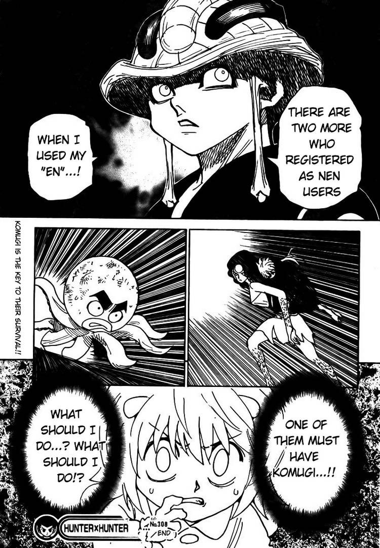 Hunter x Hunter Manga Chapter 308 page 17 - Flash