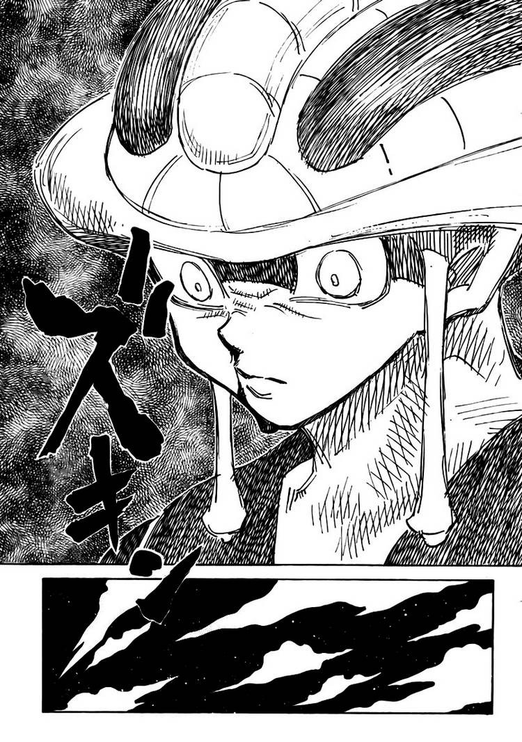 Hunter x Hunter Manga Chapter 310 page 13 - Action