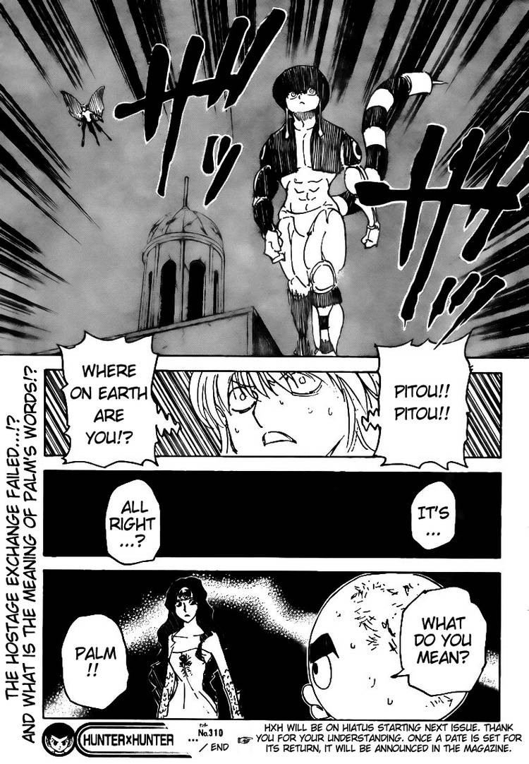 Hunter x Hunter Manga Chapter 310 page 19 - Action