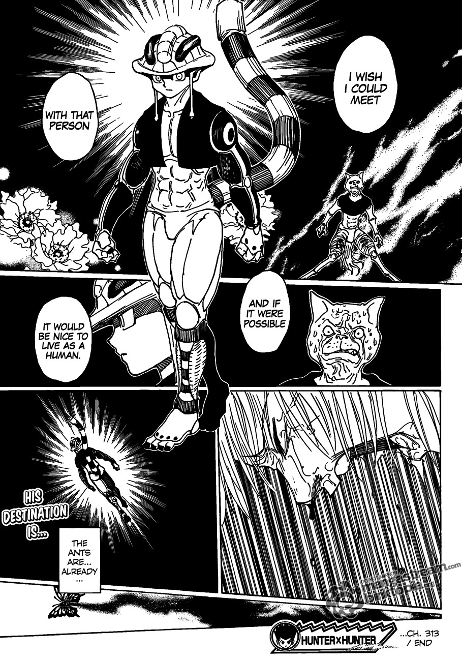 Hunter x Hunter Manga Chapter 313 page 14 - One Word