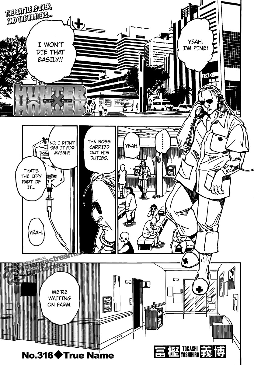 Hunter x Hunter Manga Chapter 316 page 1 - Real Name