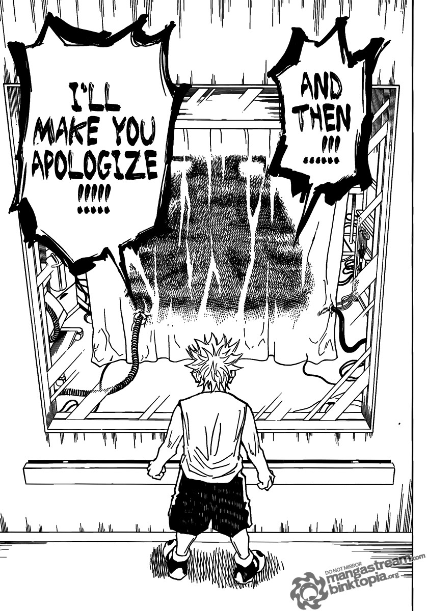 Hunter x Hunter Manga Chapter 316 page 13 - Real Name