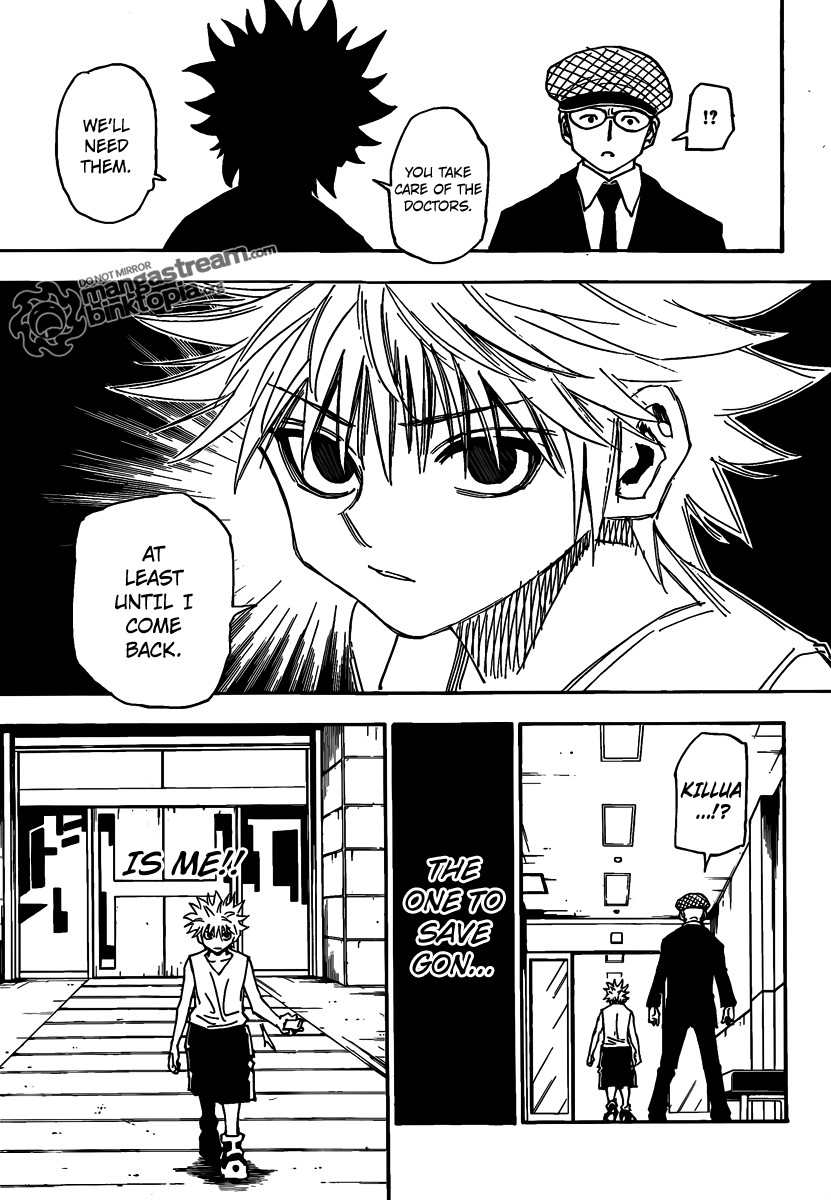 Hunter x Hunter Manga Chapter 316 page 15 - Real Name