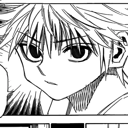 Hunter x Hunter Manga Chapter 316 (Real Name) cover