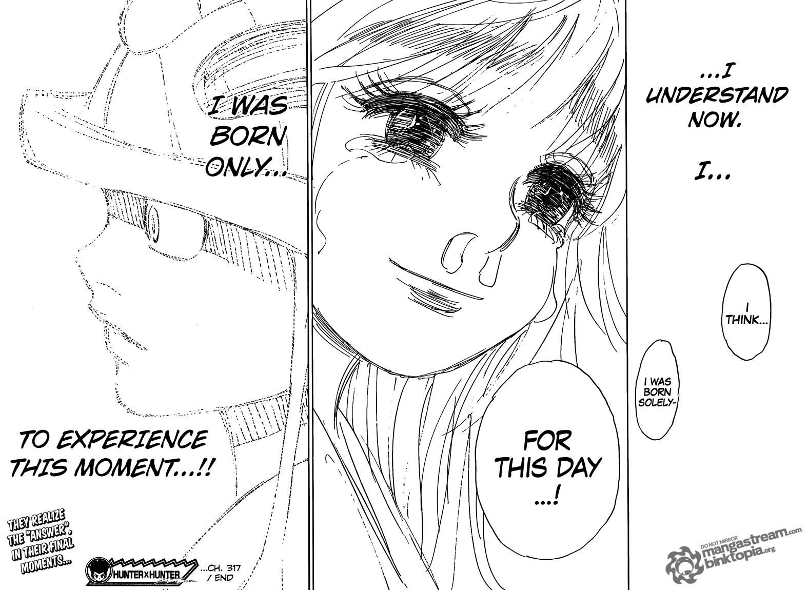 Hunter x Hunter Manga Chapter 317 page 20 - Answer